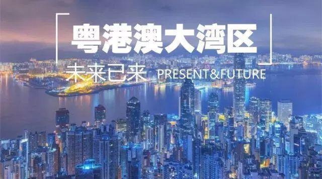 2025年新澳门与香港，全年免费全面释义的深入解读与热评