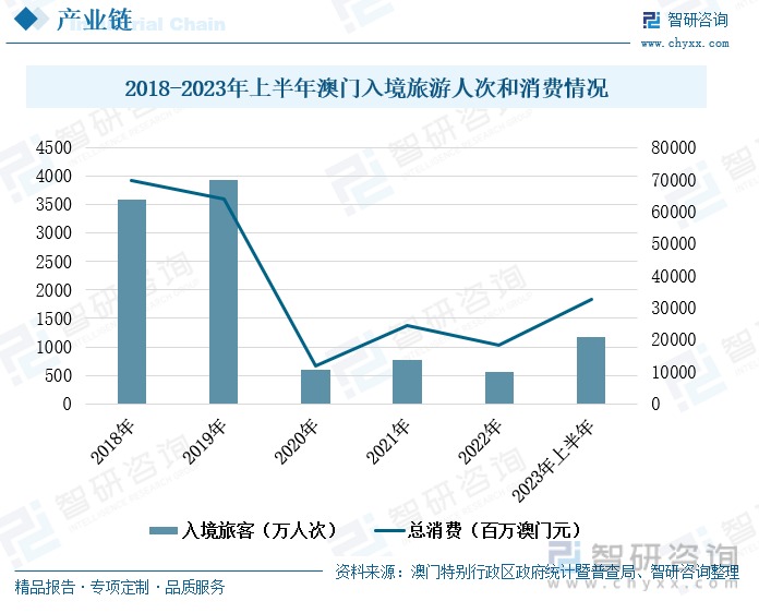 澳门王中王的未来展望与专家解读，深入解析资料至2025年