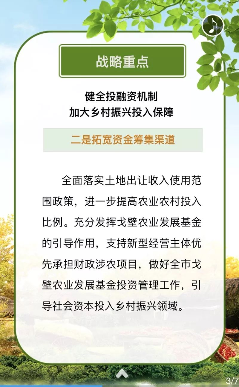 精准四肖，解读与落实策略