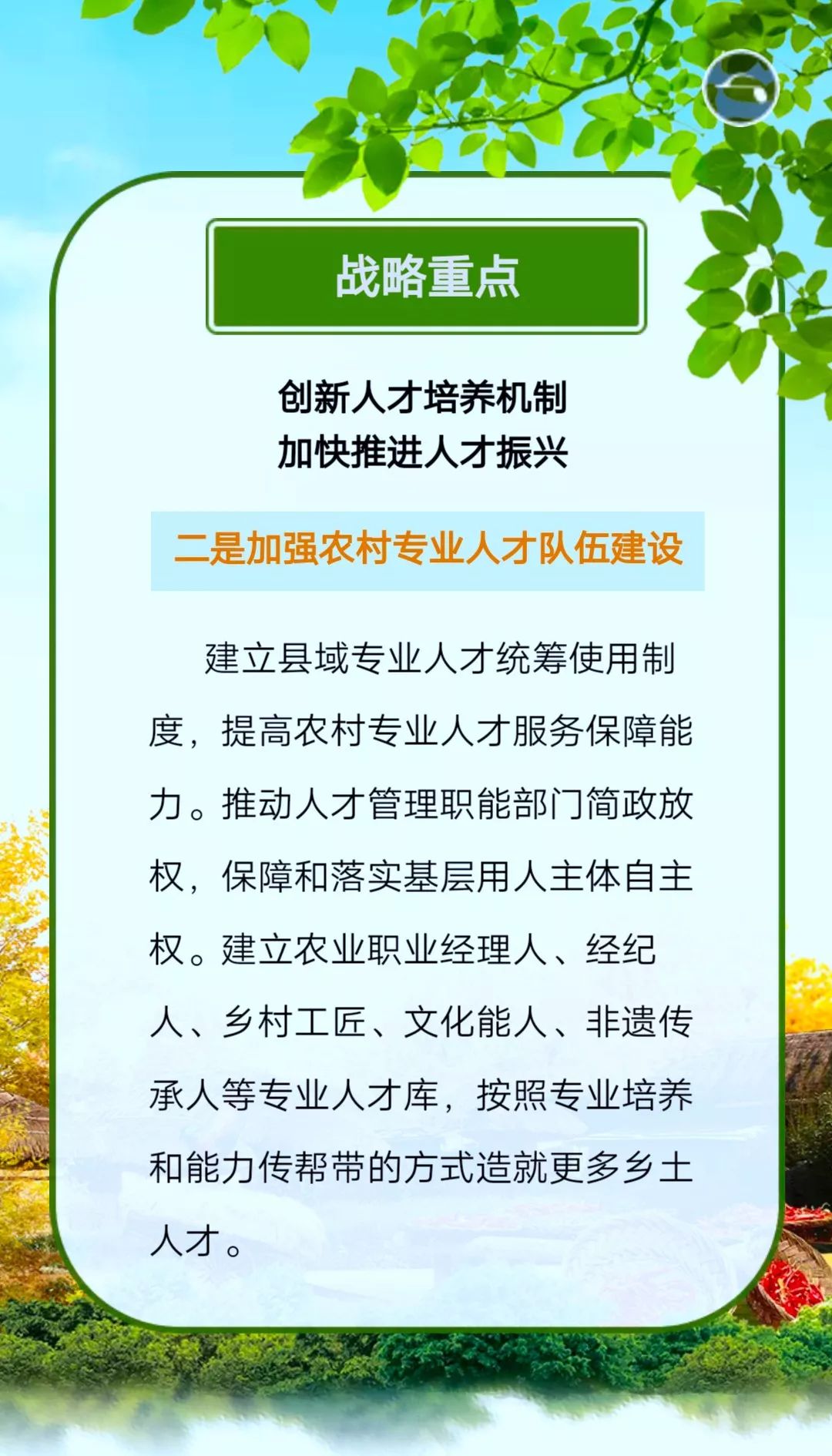 精准四肖，解读与落实策略