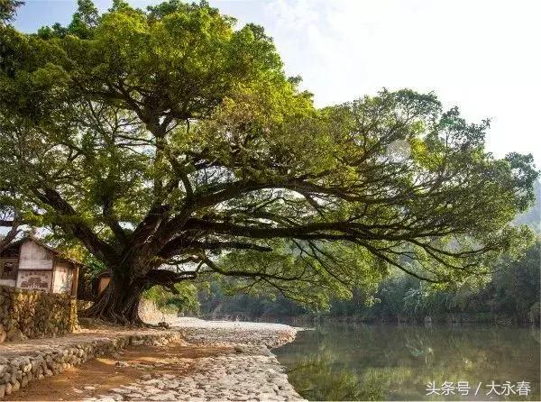 澳门今晚三中三必中一，统计解答解释落实的重要性与策略探讨