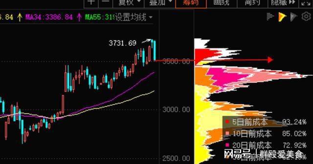 澳门王中王未来展望与科学解答解释落实—以2025年为关键节点