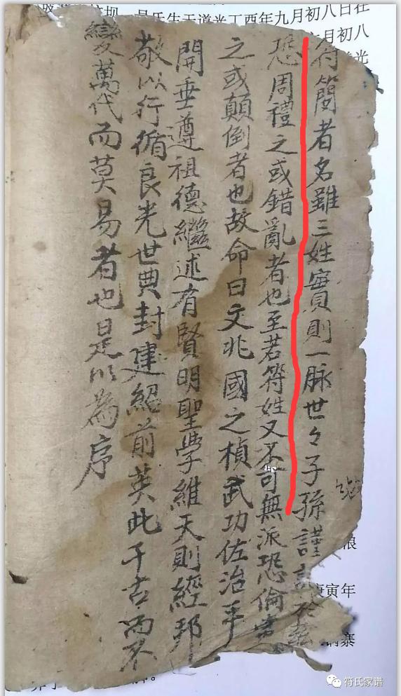 精准四肖预测，专家解答与深度解析
