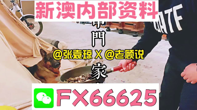 澳门与香港管家婆的精准警惕，揭示虚假宣传与全面解答落选迷思