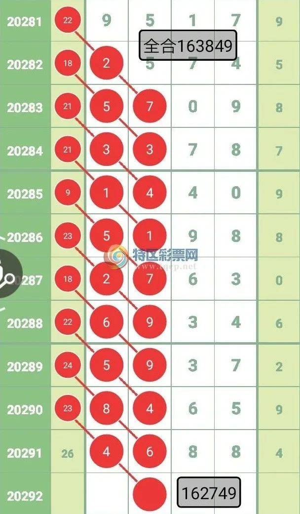 揭秘精准四肖预测，专家解答与深度解读