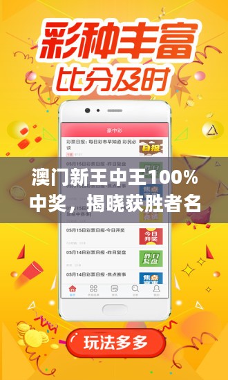 澳门王中王概述