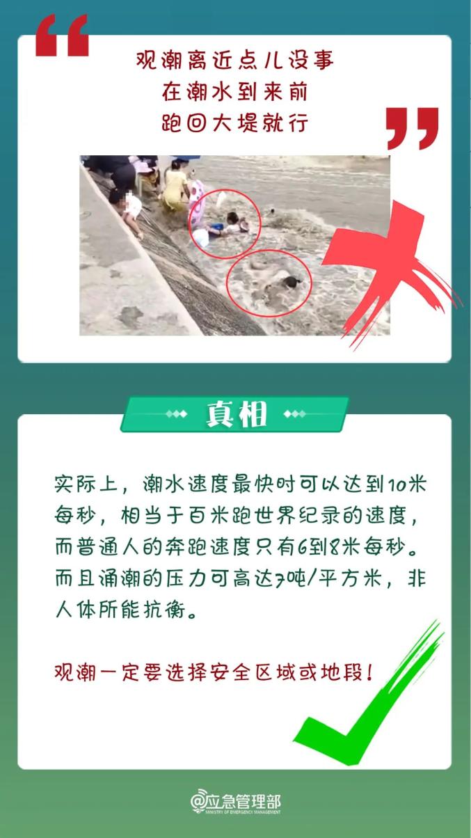 揭秘新奥历史开奖号码背后的真相，探寻真相之路与风险警示