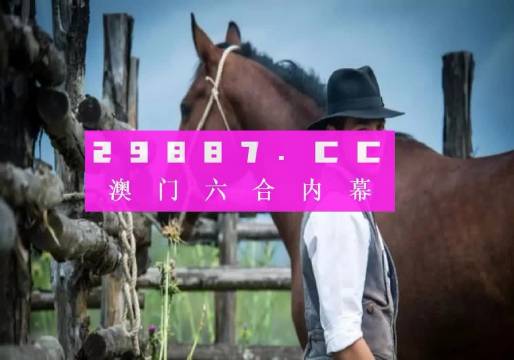 探索未来之门，关于澳门正版免费资料与2025全年免费资料的深度解析
