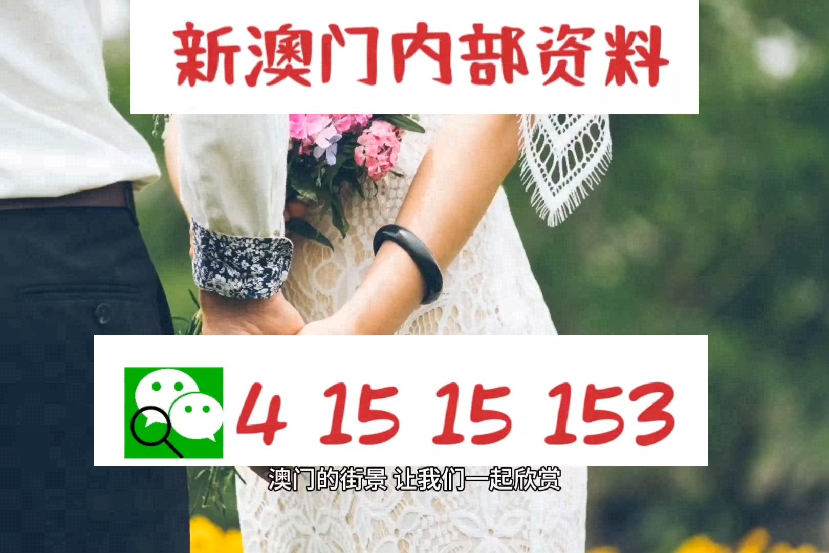 新澳门正版资料2025与精准资料的免费提供综合版