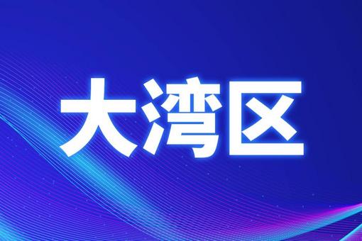 澳门正版资料免费大全新闻第067期，深度解析与独家报道