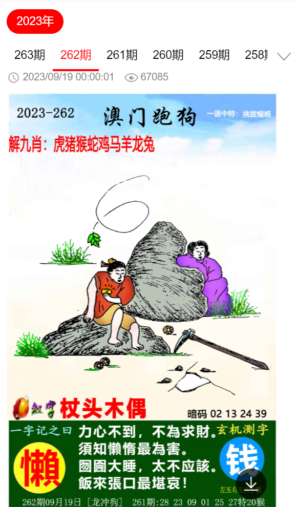 什么是精准四肖