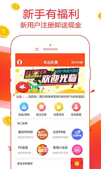 管家婆一码中一肖，深度分析与解答，落实顶级版策略（45.38.19）