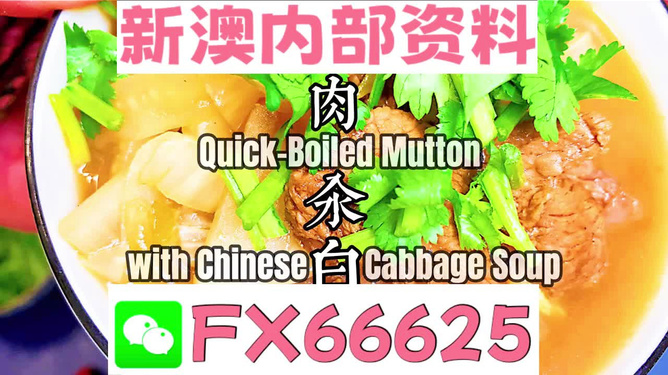 管家婆一码中一肖，深度分析与解答落实—顶级版探索
